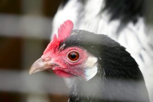 P1020490