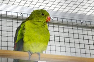 P1020596