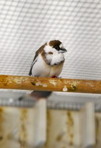 P1020608